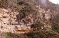 pict0007.jpg