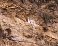 pict0010.jpg