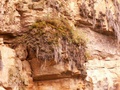pict0011.jpg