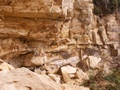 pict0020.jpg