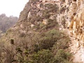 pict0021.jpg