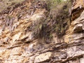 pict0026.jpg