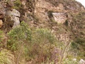 pict0027.jpg
