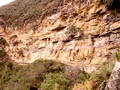 pict0028.jpg