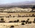 pict0003.jpg