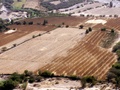 pict0007.jpg