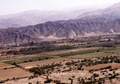 pict0008.jpg