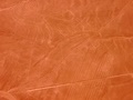 pict0039.jpg