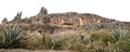 pict0009.jpg