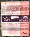 pict0013.jpg
