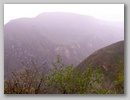 pict0034.jpg