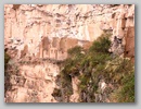 pict0035.jpg