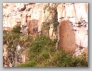 pict0038.jpg