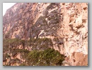 pict0040.jpg