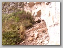 pict0055.jpg