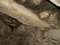 pict0039.jpg