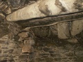 pict0046.jpg