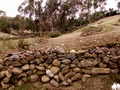 pict0062.jpg