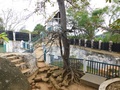dscn0005.jpg