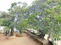 dscn0019.jpg