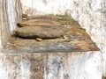 dscn0035.jpg
