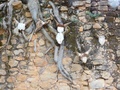 dscn9992.jpg