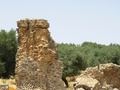 img_4279.jpg
