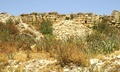 img_4282.jpg