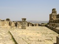 img_4286.jpg