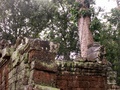 pict0206.jpg