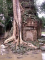 pict0211.jpg