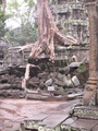 pict0212.jpg