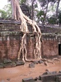 pict0213.jpg