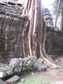 pict0216.jpg