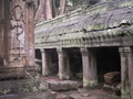 pict0217.jpg