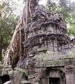 pict0221.jpg