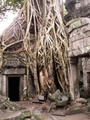 pict0224.jpg