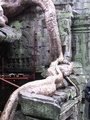 pict0228.jpg