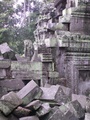 pict0229.jpg