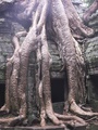 pict0231.jpg