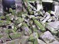 pict0232.jpg