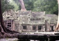 pict0235.jpg
