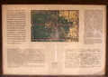 pict0144.jpg