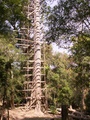 pict0147.jpg
