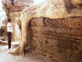 pict0148.jpg