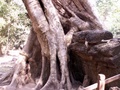 pict0152.jpg