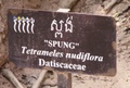 pict0154.jpg