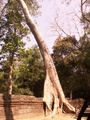pict0156.jpg