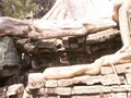 pict0164.jpg