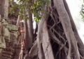 pict0168.jpg